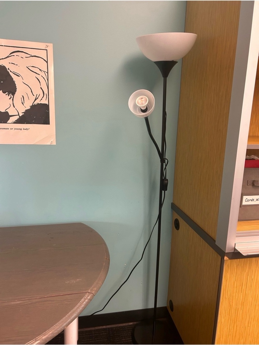 IKEA Black Floor Lamp with White Shades
